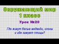 Окружающий мир 1 класс (Урок№20 - Где живут белые медведи, слоны и где зимуют птицы?)