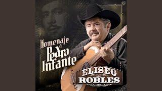 Video thumbnail of "Eliseo Robles - Cien Años"