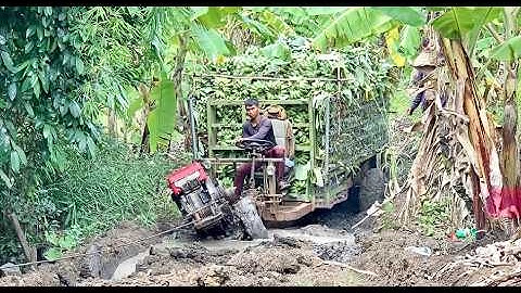 Xe công nông 2 cầu chở chuối gặp những đường lầy lội và cái kết trong bùn