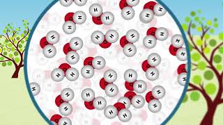 Everything Is Made of Atoms