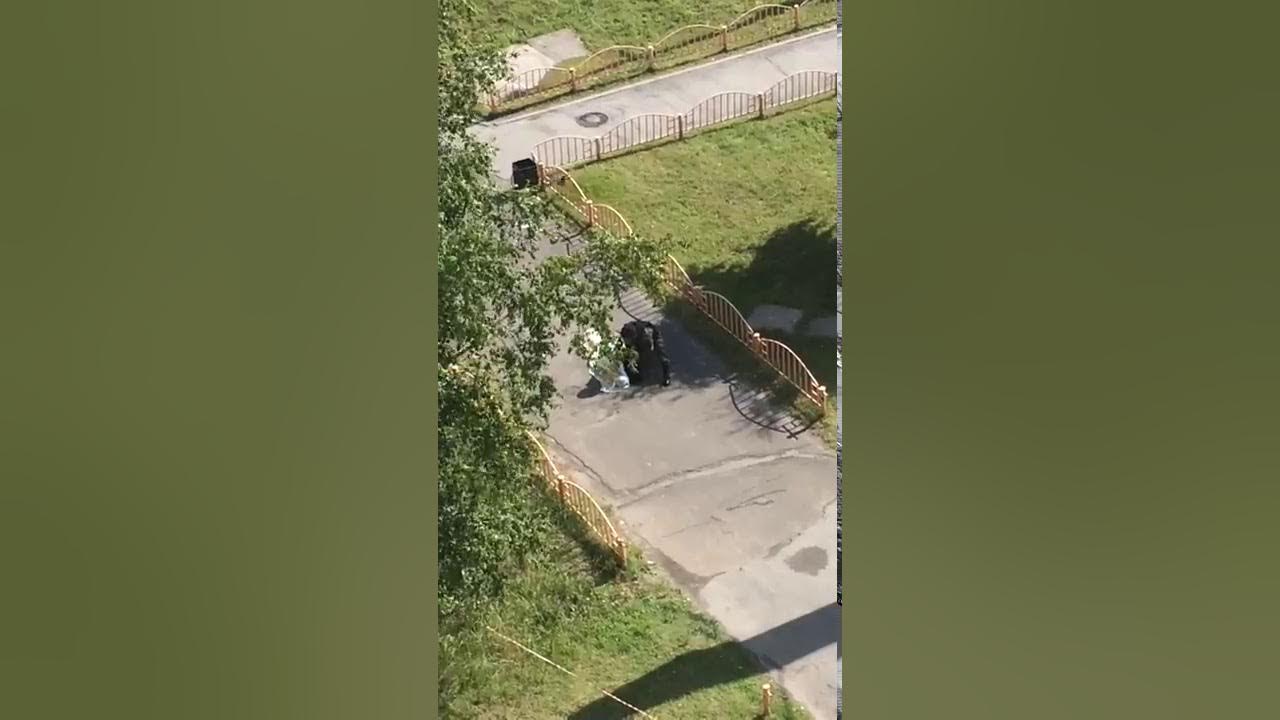 террористы в сургуте