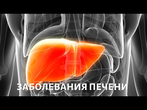 Метод исследования: заболевания печени