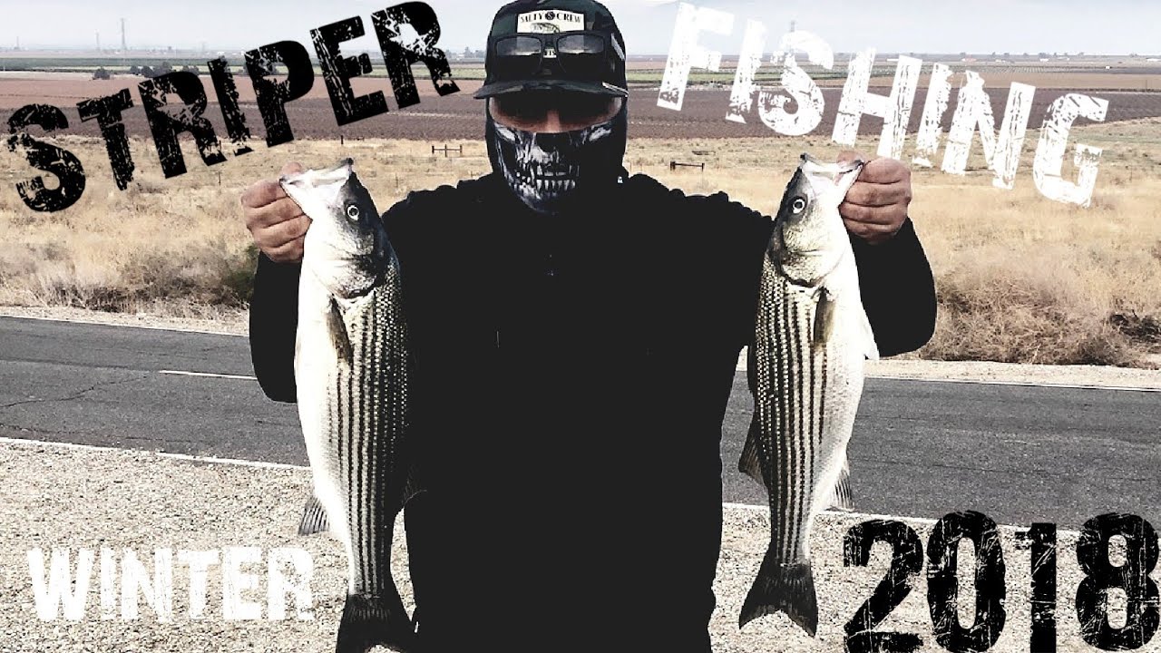 Striper FishingQuick Limit at The California Aqueduct YouTube