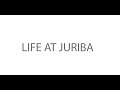 Life at Juriba