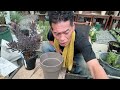 開花園チャンネル