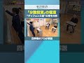 「分散投資」の極意 “ディフェンス型”の株を5割【四季報のプロが解説】