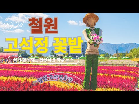 2024 철원 고석정 꽃밭- 꽃과 함게하는 환상적인 하루 코스