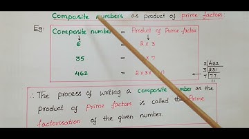 The fundamental theorem of arithmetic | factor tree | properties of HCF & LCM | Prime factorisation