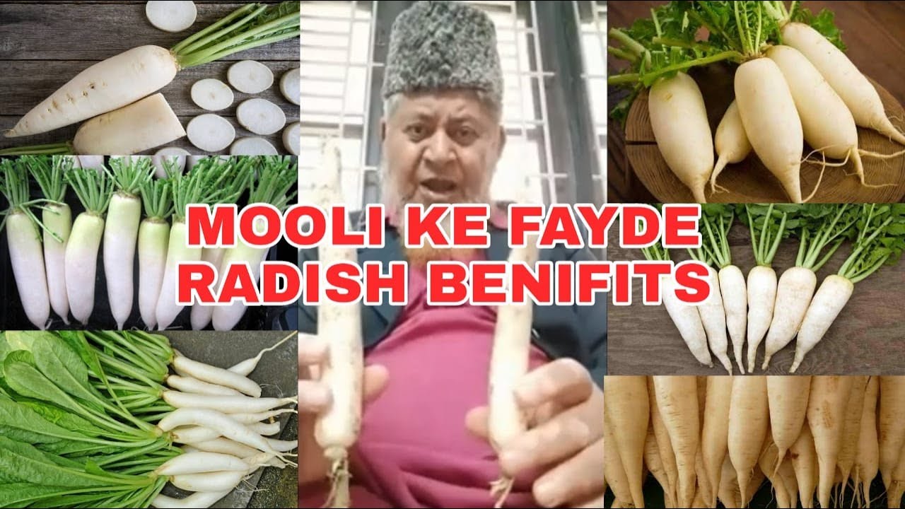 MOOLI KE FAYDE RADISH BENEFITS GAS TROUBLE AUR KIDNEY KA ILAJ || UBED ULLA