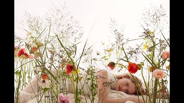 Camilla Åkrans brings Swedish folklore to life with Profoto Pro-11