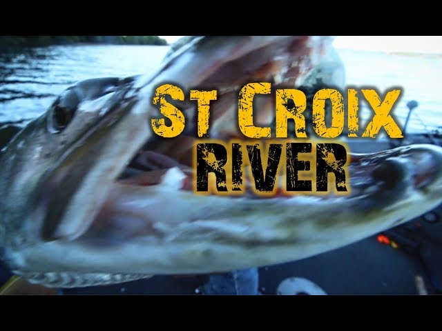pete smith st croix rods Staff Pick Streamer  Bighorn Angler St. Croix River Musky Fishing