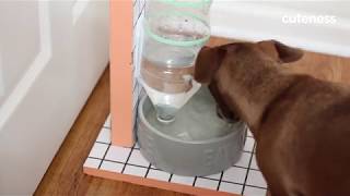 If refilling your dog's water bowl several times a day has become
chore you just can't ignore, need this self-refillable in life. not
o...