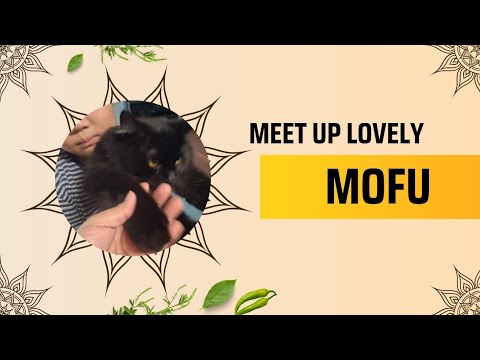Makapasyal saglit to meet up mofu #video #ytyoutube
