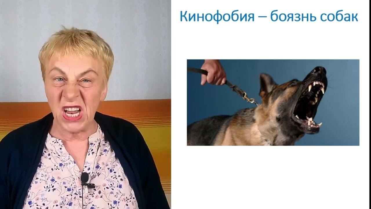 Кинофобия - что такое боязнь собак? | Кинофобия | Боязнь собак