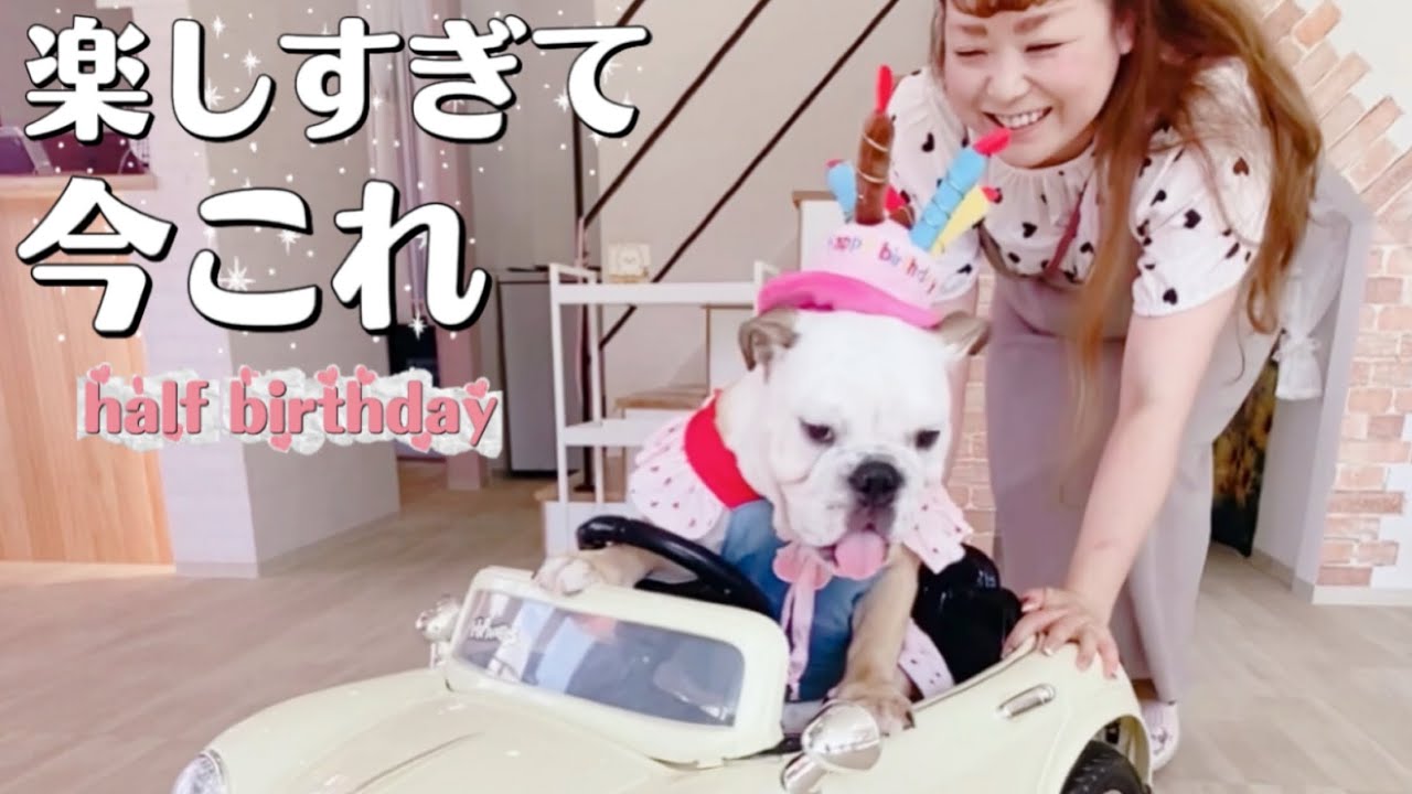 じぇにか生後半年記念日にカフェへ行ったら‥ハプニング続出でやらかしちゃった‥