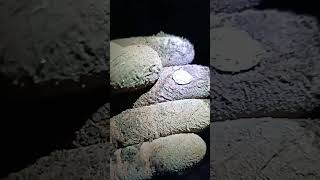 крайняя находка