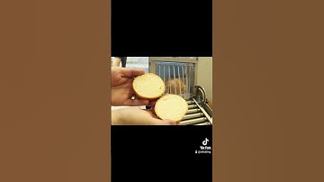 Hinge Cut Slicer For Bread and Rolls | Horizontal Slicer Bakery Equipment | KRUMBEIN x Erika Record