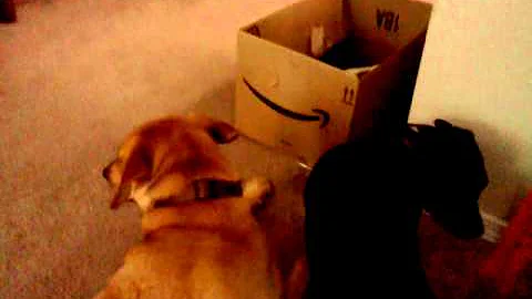 Too Quite In Here.3gp