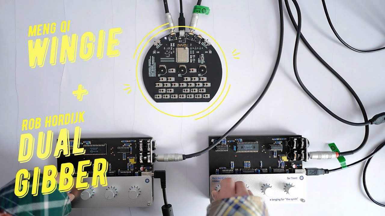 小羽Wingie — 孟奇Meng Qi