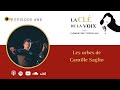 E86 les orbes de camille saglio