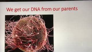 Forensic DNA Part 2🧬⚖️