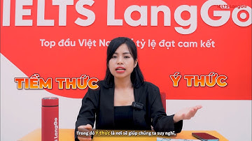 IELTS LangGo đã ứng dụng phương NLP - Lập trình ngôn ngữ tư duy vào giảng dạy như thế nào?