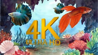 the ocean 4k - sea animals video with music #4kvideo