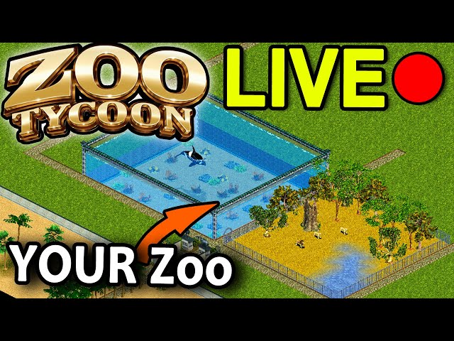 Zoo Tycoon - Can you grow your own zoo in a socialist country? :), Friday  Nights TTS