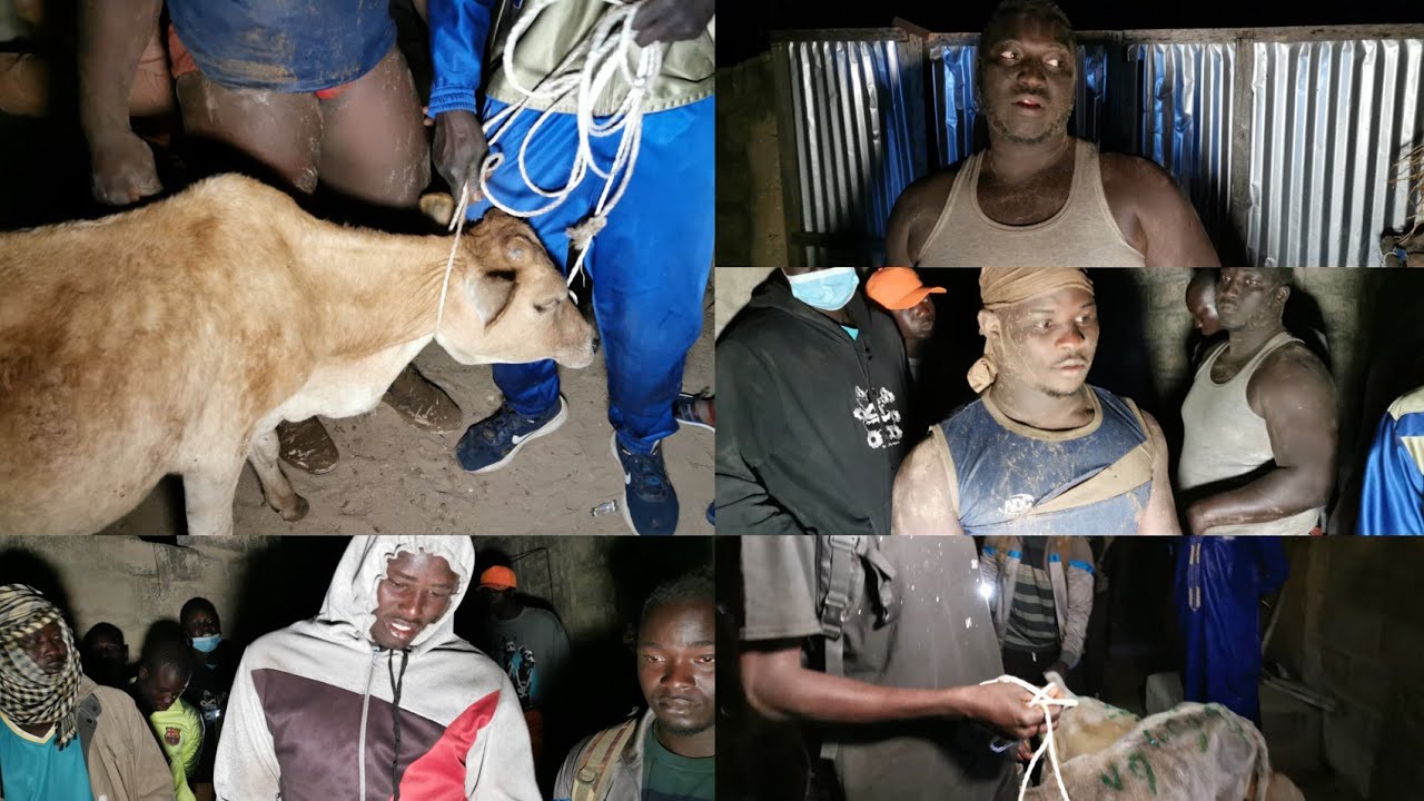 PARTAGE DES BŒUFS LAMB KHALAMBAS OLYMPIQUE MAME FRA PETIT MBINE WALY 27 DEC 2025 