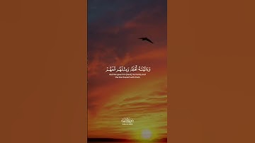 تلاوة من بعض ايات سورة الانبياء | هيثم الدخين