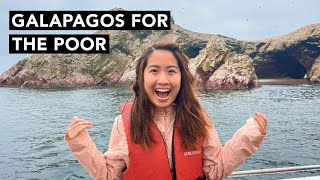 Ultimate Guide to Paracas, Peru: Best Things To Do and Eat 🇵🇪