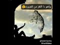 انا منظر انا شكل وصوره حالات واتساب شعبي حزييين جدااا