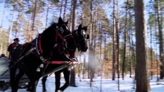WPBS-TV -- Snow Days -- Sleigh Rides