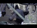 Bear Climbs into Tree Stand with Hunter!