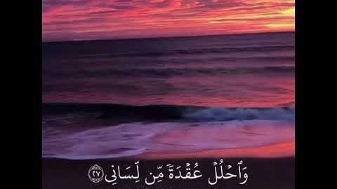 قال رب اشرح لي صدري ويسر لي أمري || القارئ محمد النقيب || سورة طه