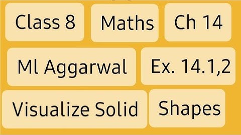Class 8 Maths Ch 14 ML Aggarwal Visualising Solid Shapes||By Hemant