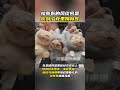 Labubu的风终究是吹到了克里姆林宫 在圣彼得堡国际经济论坛上印有俄罗斯外交部长拉夫罗夫、俄联邦政府总理米舒斯京、俄罗斯央行行长纳比乌琳娜等俄政要面孔的拉布布惊喜亮相，拉布布是真的火啊！#拉布布