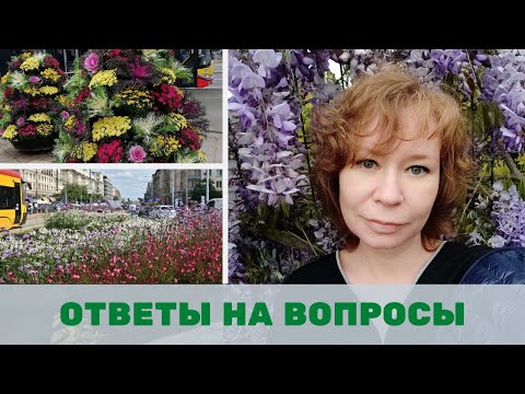 Городское озеленение в Европе, карманные парки, линейные парки, лучшие растения для озеленения