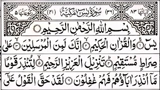 Surah Yaseen Surah Ar Rahman |Beautiful Quran Reaction | Yasin shareef