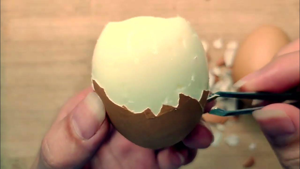 ASMR Food Egg Peeling Egg Shell Crushing YouTube
