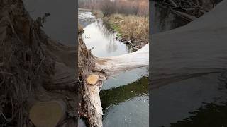 Herşey Doğal Harika Bir Doğa Yürüyüşü