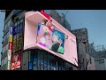 【猫コラボ】『Shinjuku no Nekomae』MV(放映中)