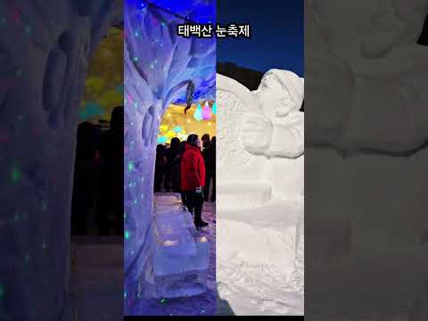 눈꽃 도시 태백에서 펼쳐지는 겨울 축제❄️ 설원 위 조각과 웃음이 함께 피어납니다.#태백눈축제 #태백여행 #겨울축제 #강원도 #눈꽃세상 #국내여행