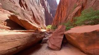 Colorado River in Glen Canyon.                Day 3 of 3