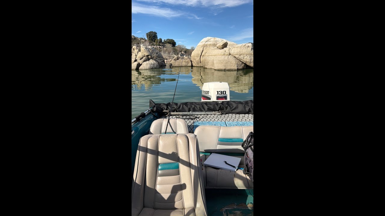 Live NOW backyard hangout, chat might go sideways