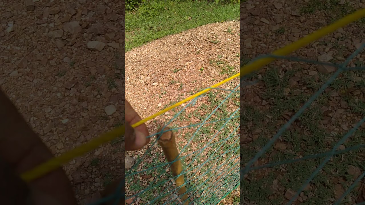 ดักกระต่าย โดยใช้ตาข่ายยาว สนใจตาข่าย@LINE0931180613