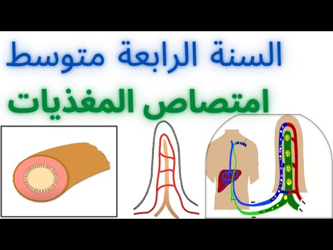 امتصاص المغذيات 