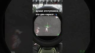 крыса с тепловизором #eft #тарков #escapefromtarkov #tarkov