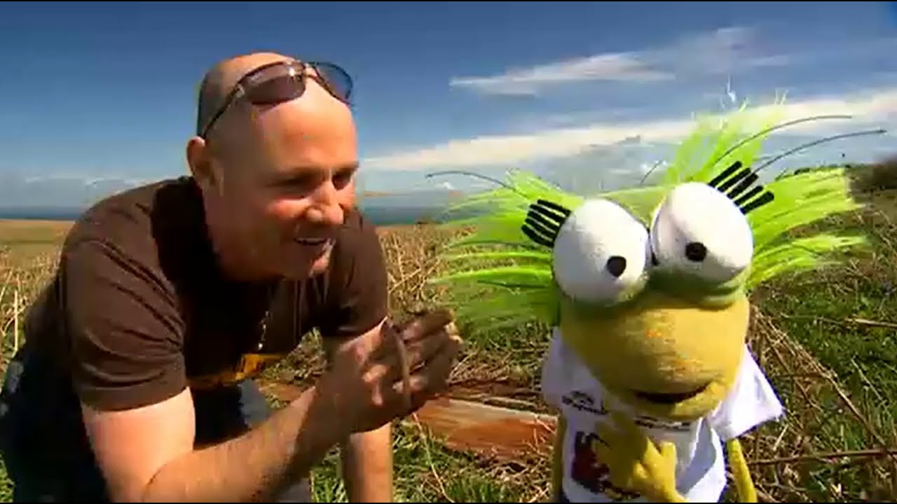 Cbeebies Springwatch (09/06/2008)