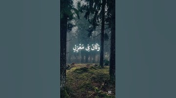 {سوره هود ايه42} [اسم القارئ عبد الباسط المنشاوي]🤍